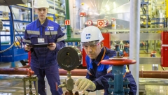 Новости  - Рейтинг самых востребованных профессий в России составили эксперты