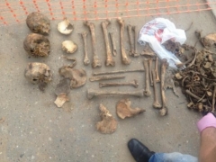 Новости  - В Казани обнаружили человеческие останки полувековой давности