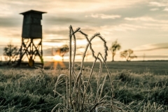 Новости  - По столице Татарстана «ударят» заморозки