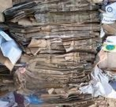 Новости  - 100 000 рублей за новую жизнь бумаги (Казань)